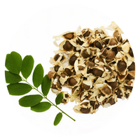 Moringa oleifera