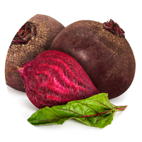 Beta vulgaris