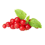 Cranberry