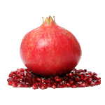 Pomegranate Extract (Punica granatum)